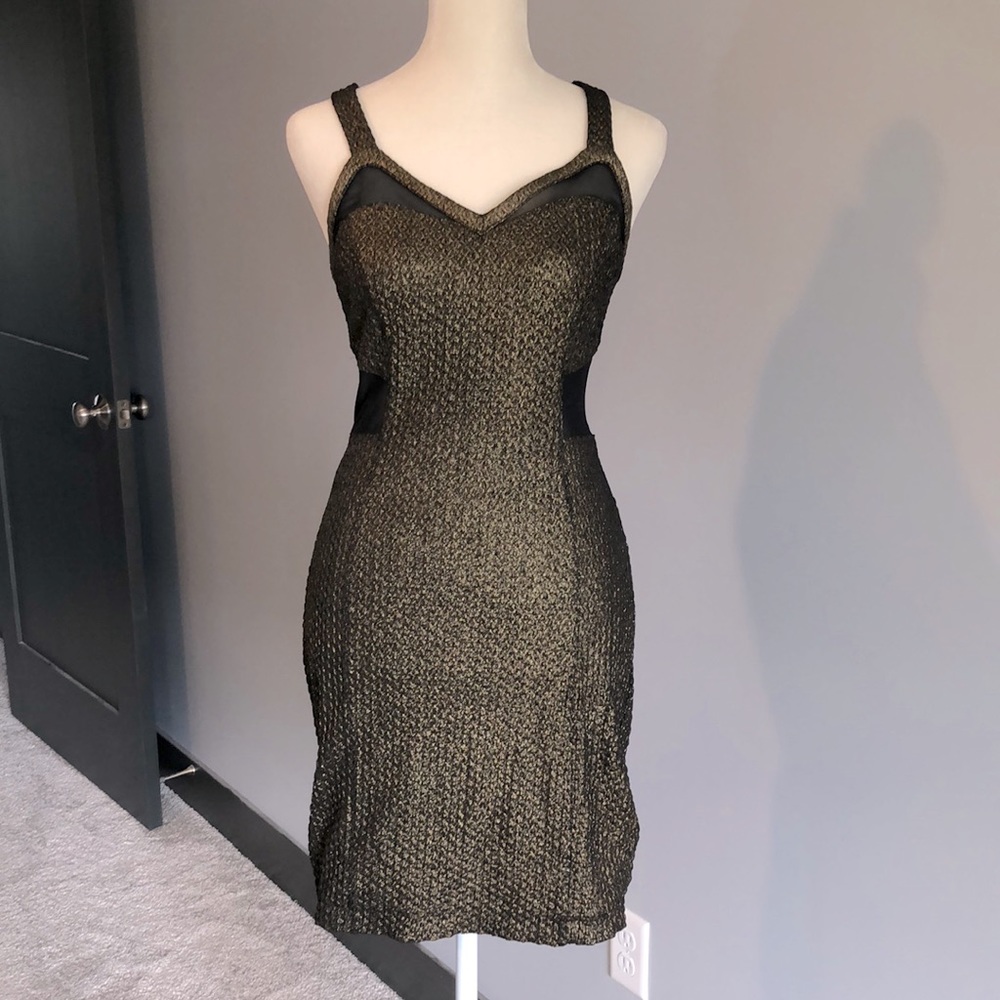 Express cocktail dress